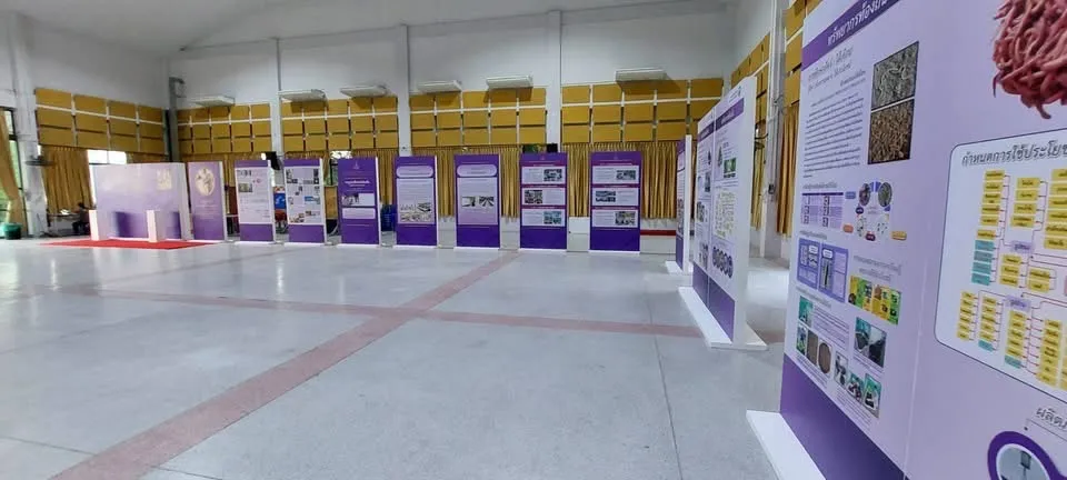 บอร์ดนิทรรศการวิชาการเรียงแถวในฮอลล์